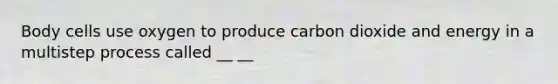 Body cells use oxygen to produce carbon dioxide and energy in a multistep process called __ __