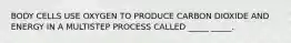 BODY CELLS USE OXYGEN TO PRODUCE CARBON DIOXIDE AND ENERGY IN A MULTISTEP PROCESS CALLED _____ _____.