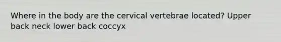 Where in the body are the cervical vertebrae located? Upper back neck lower back coccyx