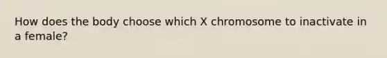 How does the body choose which X chromosome to inactivate in a female?