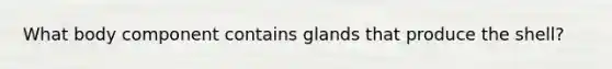 What body component contains glands that produce the shell?