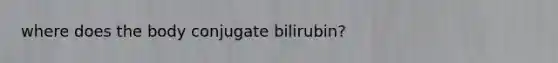 where does the body conjugate bilirubin?