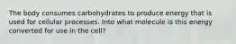 The body consumes carbohydrates to produce energy that is used for cellular processes. Into what molecule is this energy converted for use in the cell?