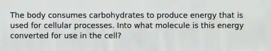 The body consumes carbohydrates to produce energy that is used for cellular processes. Into what molecule is this energy converted for use in the cell?