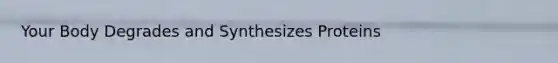 Your Body Degrades and Synthesizes Proteins