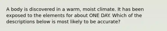 A body is discovered in a warm, moist climate. It has been exposed to the elements for about ONE DAY. Which of the descriptions below is most likely to be accurate?