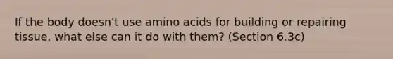 If the body doesn't use amino acids for building or repairing tissue, what else can it do with them? (Section 6.3c)