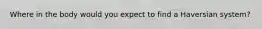 Where in the body would you expect to find a Haversian system?