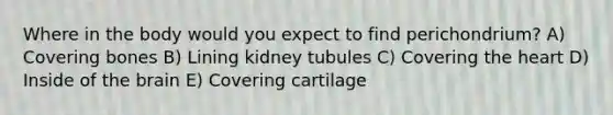 Where in the body would you expect to find perichondrium? A) Covering bones B) Lining kidney tubules C) Covering <a href='https://www.questionai.com/knowledge/kya8ocqc6o-the-heart' class='anchor-knowledge'>the heart</a> D) Inside of <a href='https://www.questionai.com/knowledge/kLMtJeqKp6-the-brain' class='anchor-knowledge'>the brain</a> E) Covering cartilage