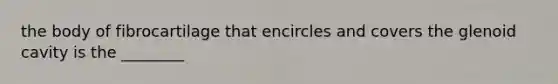 the body of fibrocartilage that encircles and covers the glenoid cavity is the ________