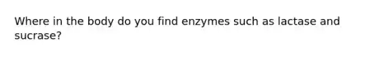 Where in the body do you find enzymes such as lactase and sucrase?