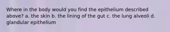 Where in the body would you find the epithelium described above? a. the skin b. the lining of the gut c. the lung alveoli d. glandular epithelium