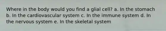 Where in the body would you find a glial cell? a. In the stomach b. In the cardiovascular system c. In the immune system d. In the nervous system e. In the skeletal system