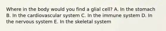 Where in the body would you find a glial cell? A. In the stomach B. In the cardiovascular system C. In the immune system D. In the nervous system E. In the skeletal system