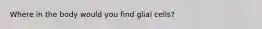 Where in the body would you find glial cells?