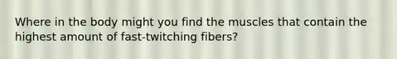 Where in the body might you find the muscles that contain the highest amount of fast-twitching fibers?