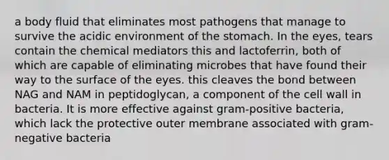 a body fluid that eliminates most pathogens that manage to survive the acidic environment of <a href='https://www.questionai.com/knowledge/kLccSGjkt8-the-stomach' class='anchor-knowledge'>the stomach</a>. In the eyes, tears contain the chemical mediators this and lactoferrin, both of which are capable of eliminating microbes that have found their way to the surface of the eyes. this cleaves the bond between NAG and NAM in peptidoglycan, a component of the cell wall in bacteria. It is more effective against gram-positive bacteria, which lack the protective outer membrane associated with gram-negative bacteria