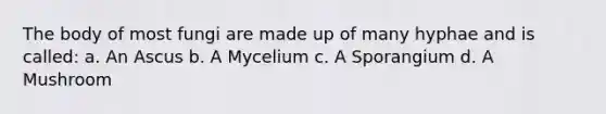 The body of most fungi are made up of many hyphae and is called: a. An Ascus b. A Mycelium c. A Sporangium d. A Mushroom