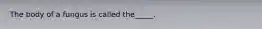 The body of a fungus is called the_____.
