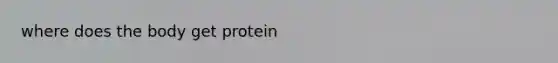 where does the body get protein