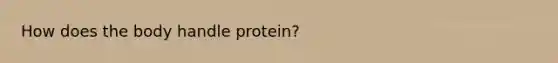 How does the body handle protein?