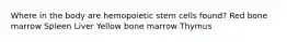 Where in the body are hemopoietic stem cells found? Red bone marrow Spleen Liver Yellow bone marrow Thymus