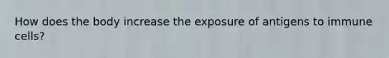 How does the body increase the exposure of antigens to immune cells?