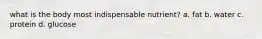 what is the body most indispensable nutrient? a. fat b. water c. protein d. glucose