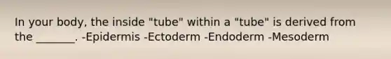 In your body, the inside "tube" within a "tube" is derived from the _______. -Epidermis -Ectoderm -Endoderm -Mesoderm