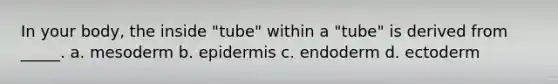 In your body, the inside "tube" within a "tube" is derived from _____. a. mesoderm b. epidermis c. endoderm d. ectoderm