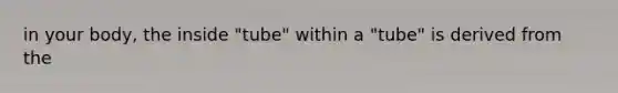 in your body, the inside "tube" within a "tube" is derived from the