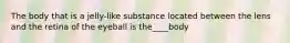 The body that is a jelly-like substance located between the lens and the retina of the eyeball is the____body