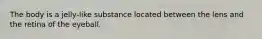 The body is a jelly-like substance located between the lens and the retina of the eyeball.