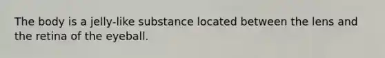 The body is a jelly-like substance located between the lens and the retina of the eyeball.