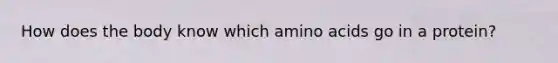 How does the body know which <a href='https://www.questionai.com/knowledge/k9gb720LCl-amino-acids' class='anchor-knowledge'>amino acids</a> go in a protein?