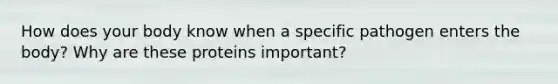 How does your body know when a specific pathogen enters the body? Why are these proteins important?