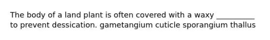 The body of a land plant is often covered with a waxy __________ to prevent dessication. gametangium cuticle sporangium thallus
