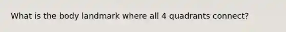 What is the body landmark where all 4 quadrants connect?