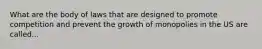 What are the body of laws that are designed to promote competition and prevent the growth of monopolies in the US are called...