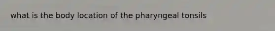 what is the body location of the pharyngeal tonsils