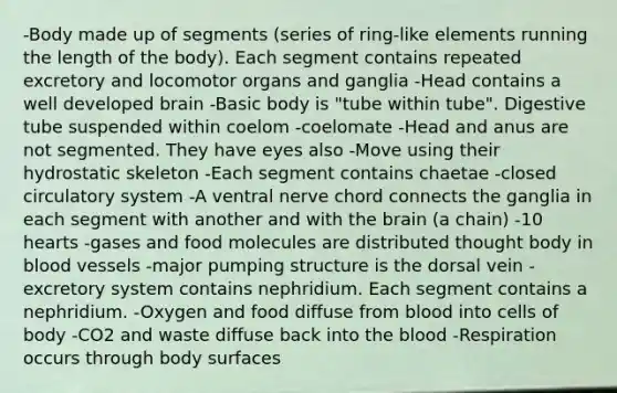 -Body made up of segments (series of ring-like elements running the length of the body). Each segment contains repeated excretory and locomotor organs and ganglia -Head contains a well developed brain -Basic body is "tube within tube". Digestive tube suspended within coelom -coelomate -Head and anus are not segmented. They have eyes also -Move using their hydrostatic skeleton -Each segment contains chaetae -closed circulatory system -A ventral nerve chord connects the ganglia in each segment with another and with the brain (a chain) -10 hearts -gases and food molecules are distributed thought body in blood vessels -major pumping structure is the dorsal vein -excretory system contains nephridium. Each segment contains a nephridium. -Oxygen and food diffuse from blood into cells of body -CO2 and waste diffuse back into the blood -Respiration occurs through body surfaces