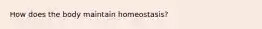 How does the body maintain homeostasis?