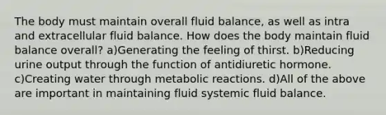 The body must maintain overall fluid balance, as well as intra and extracellular fluid balance. How does the body maintain fluid balance overall? a)Generating the feeling of thirst. b)Reducing urine output through the function of antidiuretic hormone. c)Creating water through metabolic reactions. d)All of the above are important in maintaining fluid systemic fluid balance.