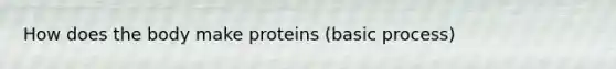 How does the body make proteins (basic process)