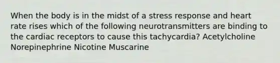 When the body is in the midst of a stress response and heart rate rises which of the following neurotransmitters are binding to the cardiac receptors to cause this tachycardia? Acetylcholine Norepinephrine Nicotine Muscarine