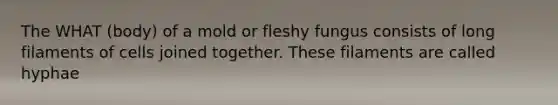 The WHAT (body) of a mold or fleshy fungus consists of long filaments of cells joined together. These filaments are called hyphae