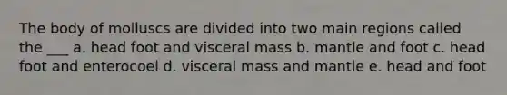 The body of molluscs are divided into two main regions called the ___ a. head foot and visceral mass b. mantle and foot c. head foot and enterocoel d. visceral mass and mantle e. head and foot