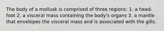 The body of a mollusk is comprised of three regions: 1. a head-foot 2. a visceral mass containing the body's organs 3. a mantle that envelopes the visceral mass and is associated with the gills.