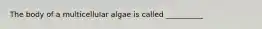 The body of a multicellular algae is called __________