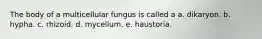 The body of a multicellular fungus is called a a. dikaryon. b. hypha. c. rhizoid. d. mycelium. e. haustoria.